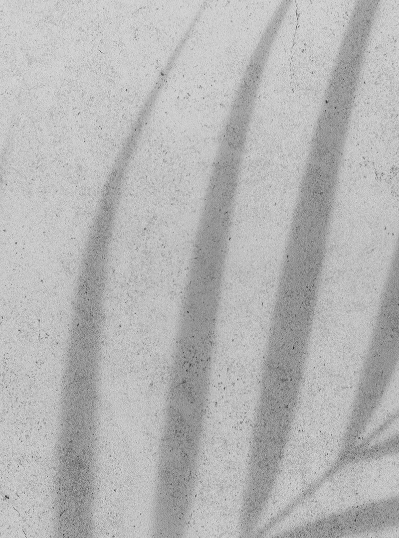 Estructura de gobierno
